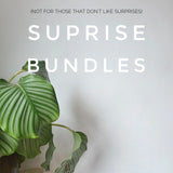Surprise Bundle (Seconds & Damaged products )